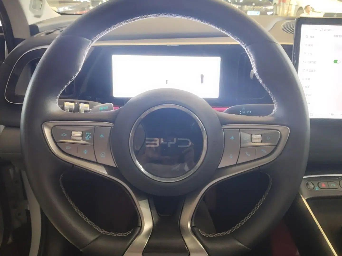BYD Sealion 05 EV 2025 520 km Flagship SmartDrive Version — миниатюра 14