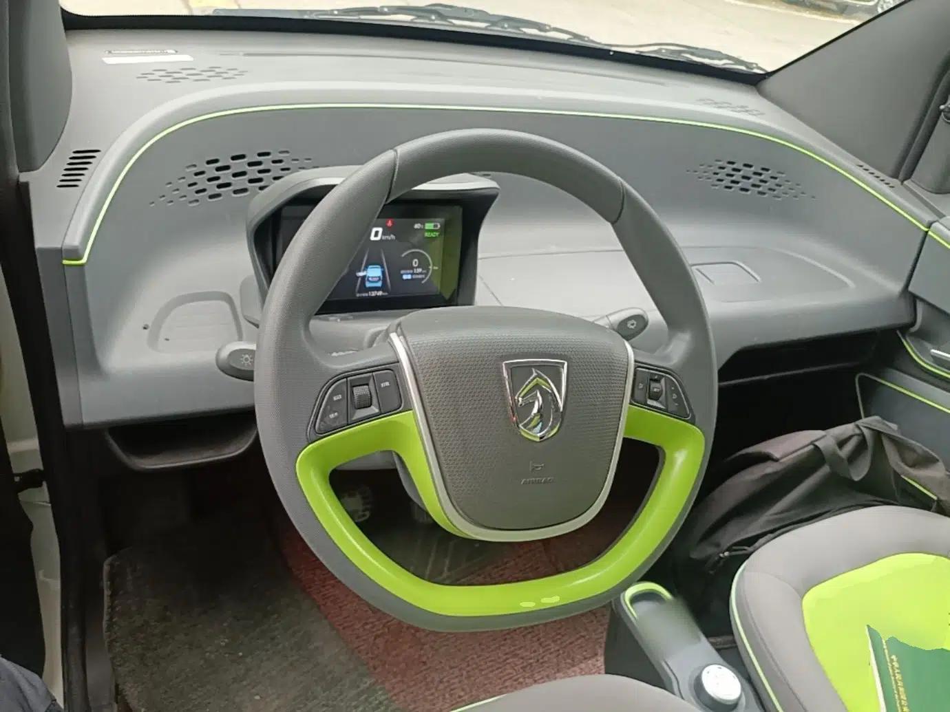Baojun E100 2019 250KM Smart Drive Edition — миниатюра 13