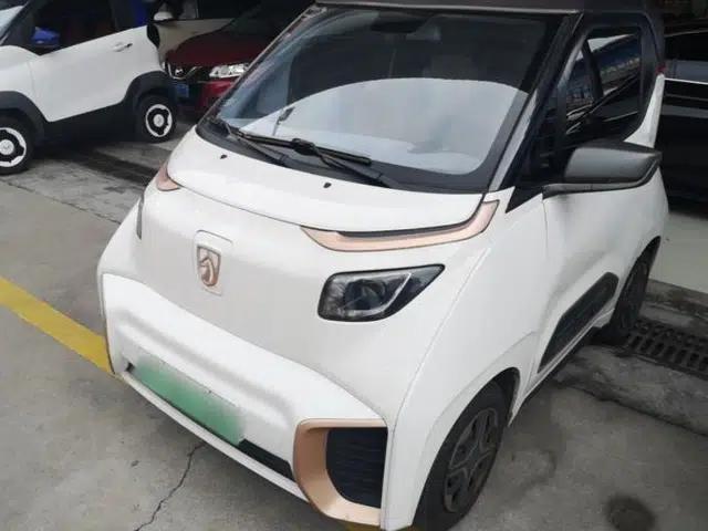 Baojun E200 2020 305KM Smart Drive Version