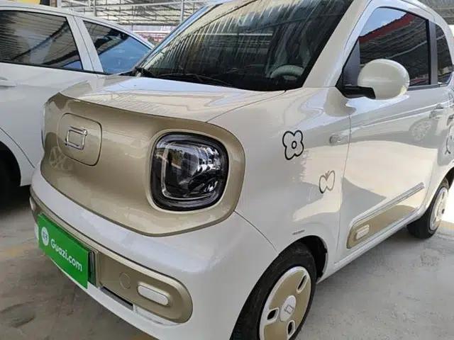 Bestune Pony 2024 170km Range Energizing Horse