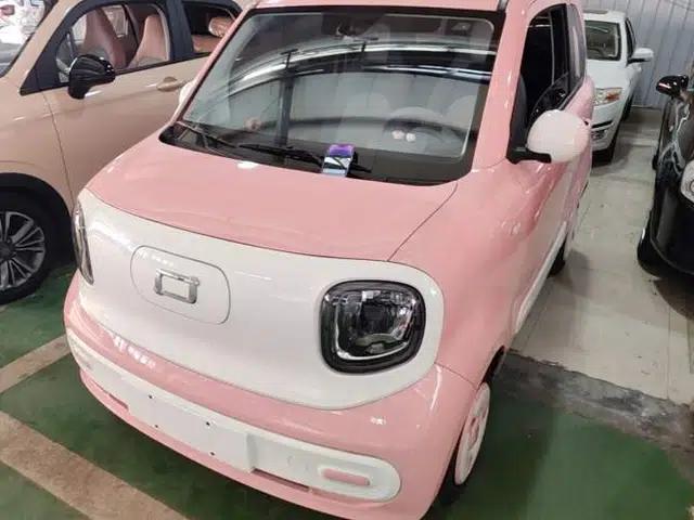 Bestune Pony 2024 170km Range Energizing Horse