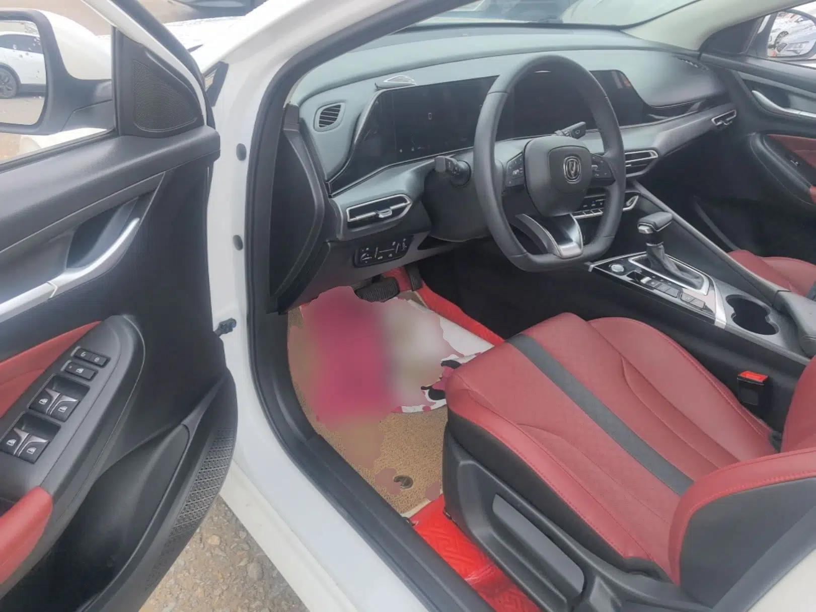 CHANGAN Eado 2021 PLUS Blue Whale NE 1.4T GDI DCT Prestige Model — миниатюра 19