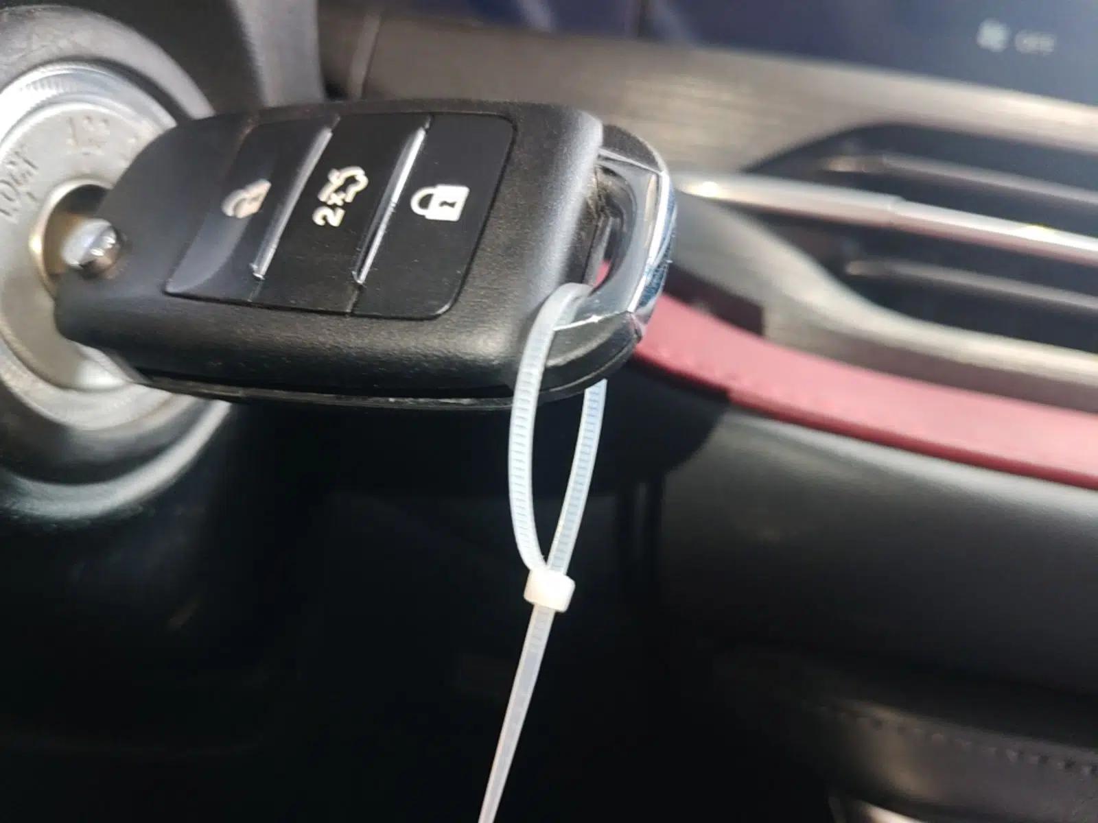 CHANGAN CS55PLUS 2020 1.5T Manual Colorful Model — миниатюра 22