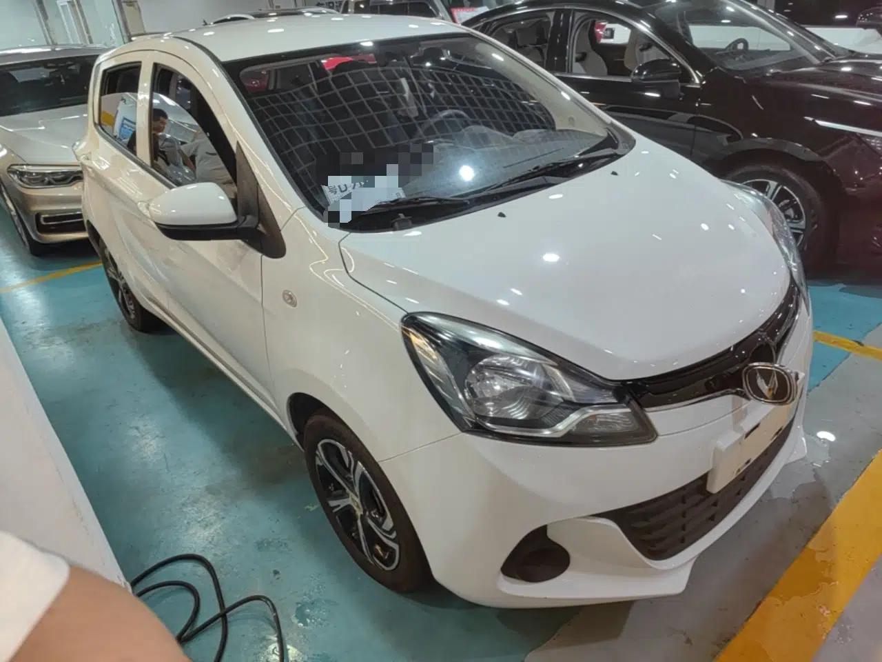 CHANGAN Benni E-Star 2021 National Edition Xinyi Edition Lithium-Ion Battery — миниатюра 6