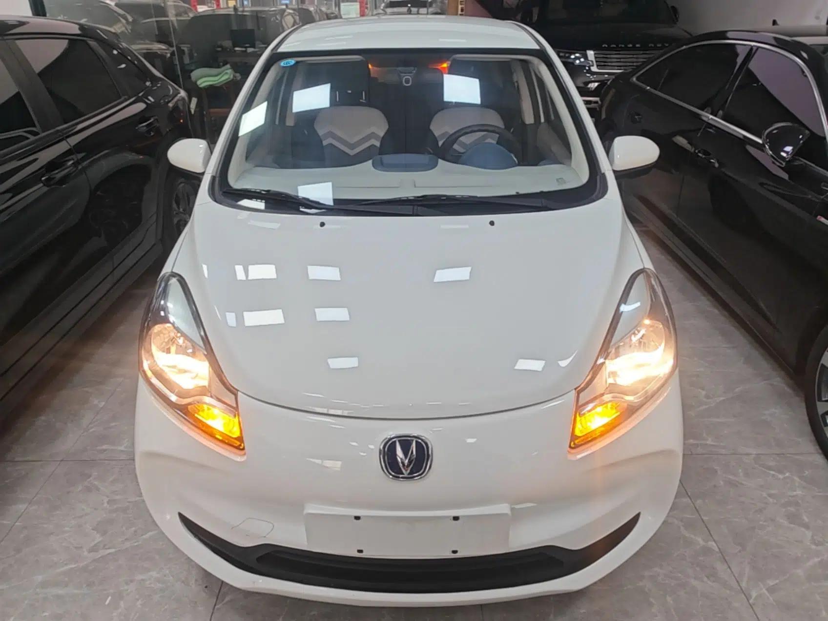 CHANGAN Benni E-Star 2021 National Edition Colorful Version Lithium Iron Phosphate (31.86 kWh) — миниатюра 2