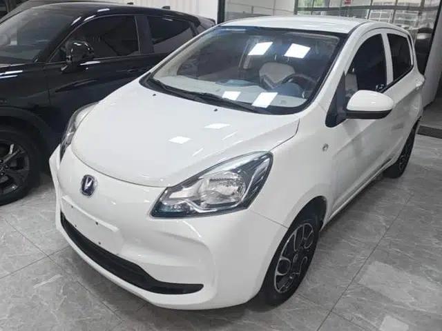 CHANGAN Benni E-Star 2021 National Edition Colorful Version Lithium Iron Phosphate (31.86 kWh)