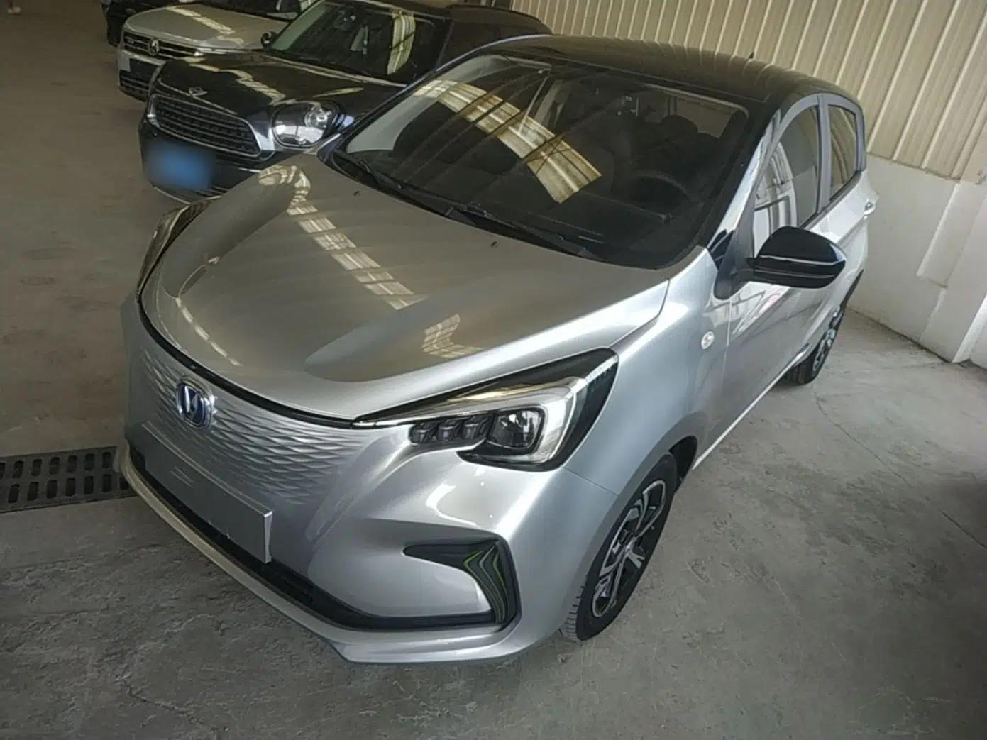 CHANGAN Benni E-Star 2020 Heart Edition Lithium Iron Phosphate (31.18 kWh) — миниатюра 1