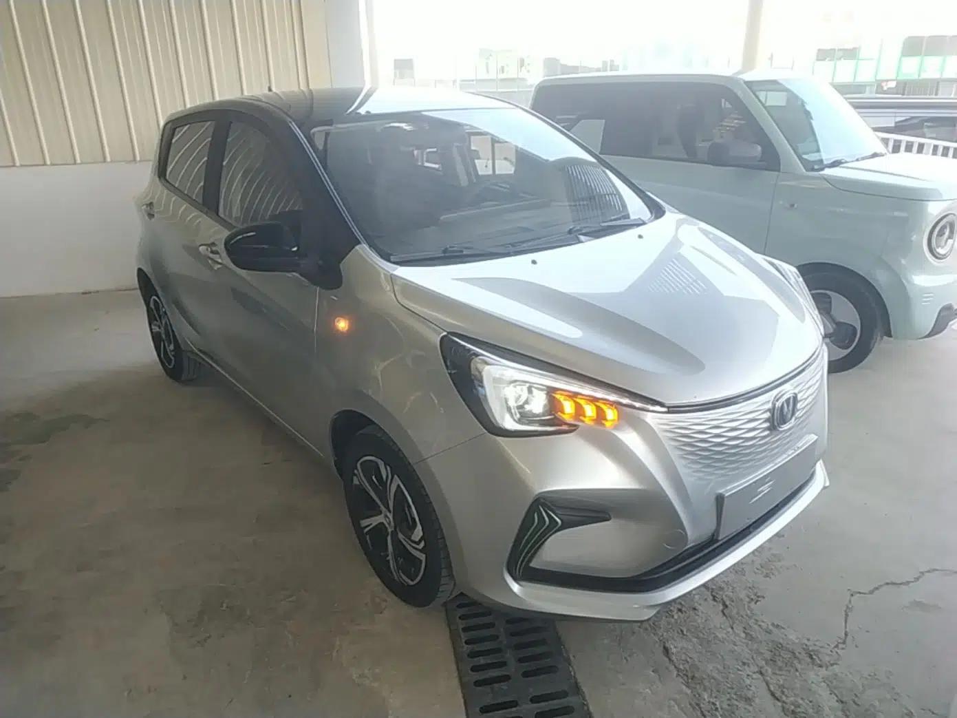 CHANGAN Benni E-Star 2020 Heart Edition Lithium Iron Phosphate (31.18 kWh) — миниатюра 3