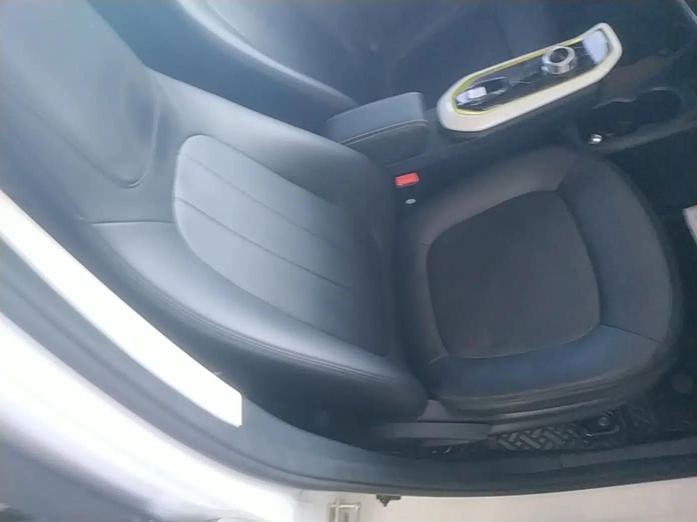 CHANGAN Benni E-Star 2020 Heart Edition Lithium Iron Phosphate (31.18 kWh) — миниатюра 23