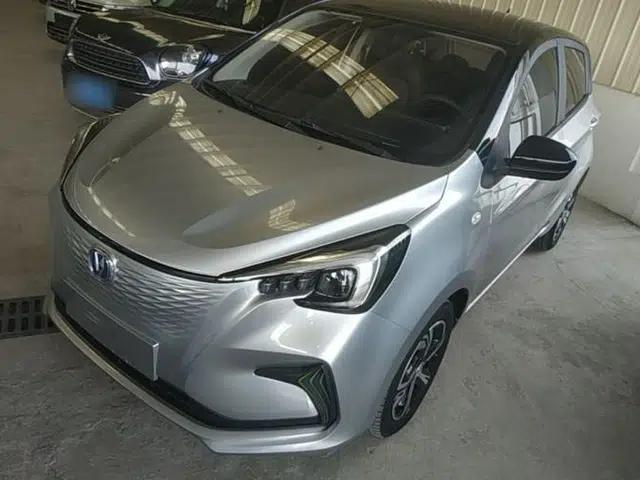 CHANGAN Benni E-Star 2020 Heart Edition Lithium Iron Phosphate (31.18 kWh)