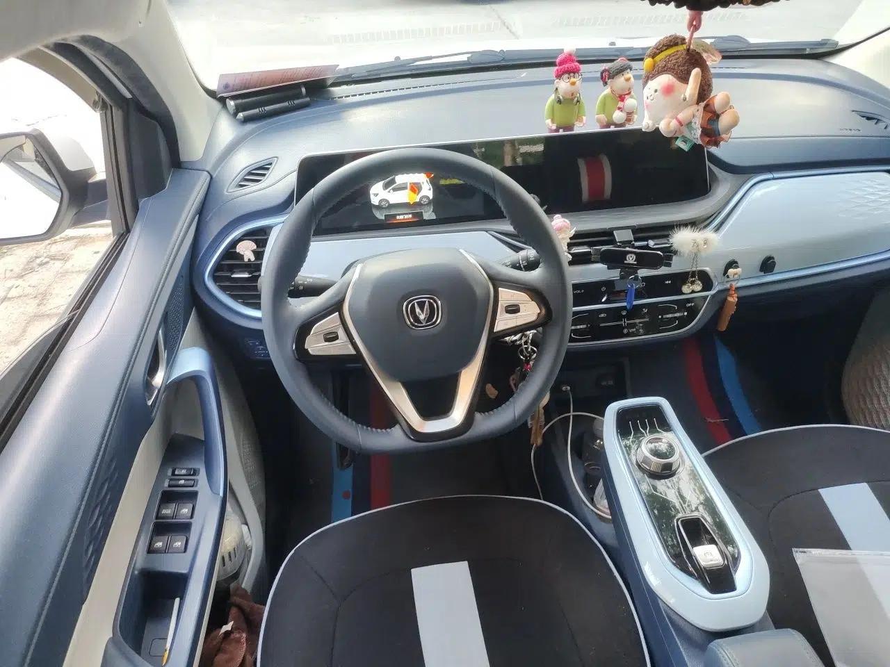 CHANGAN Benni E-Star 2022 Charming Edition Colorful Model Lithium Iron Phosphate — миниатюра 11