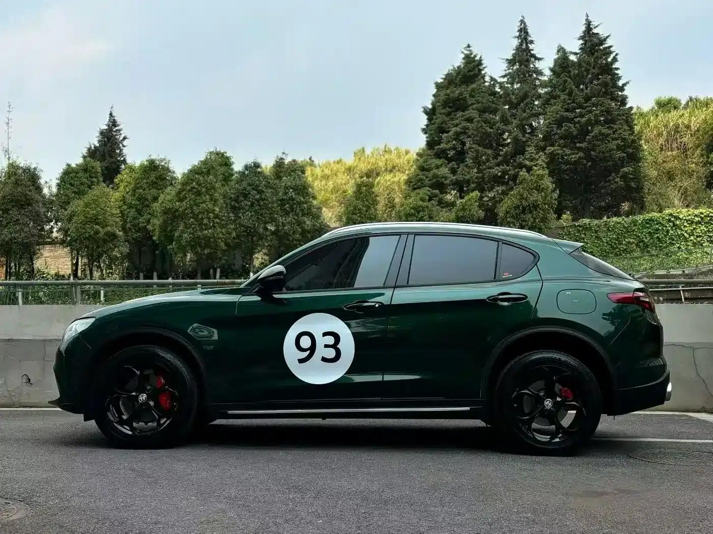 2017 Stelvio 2.0T 200HP Elite Edition — миниатюра 8