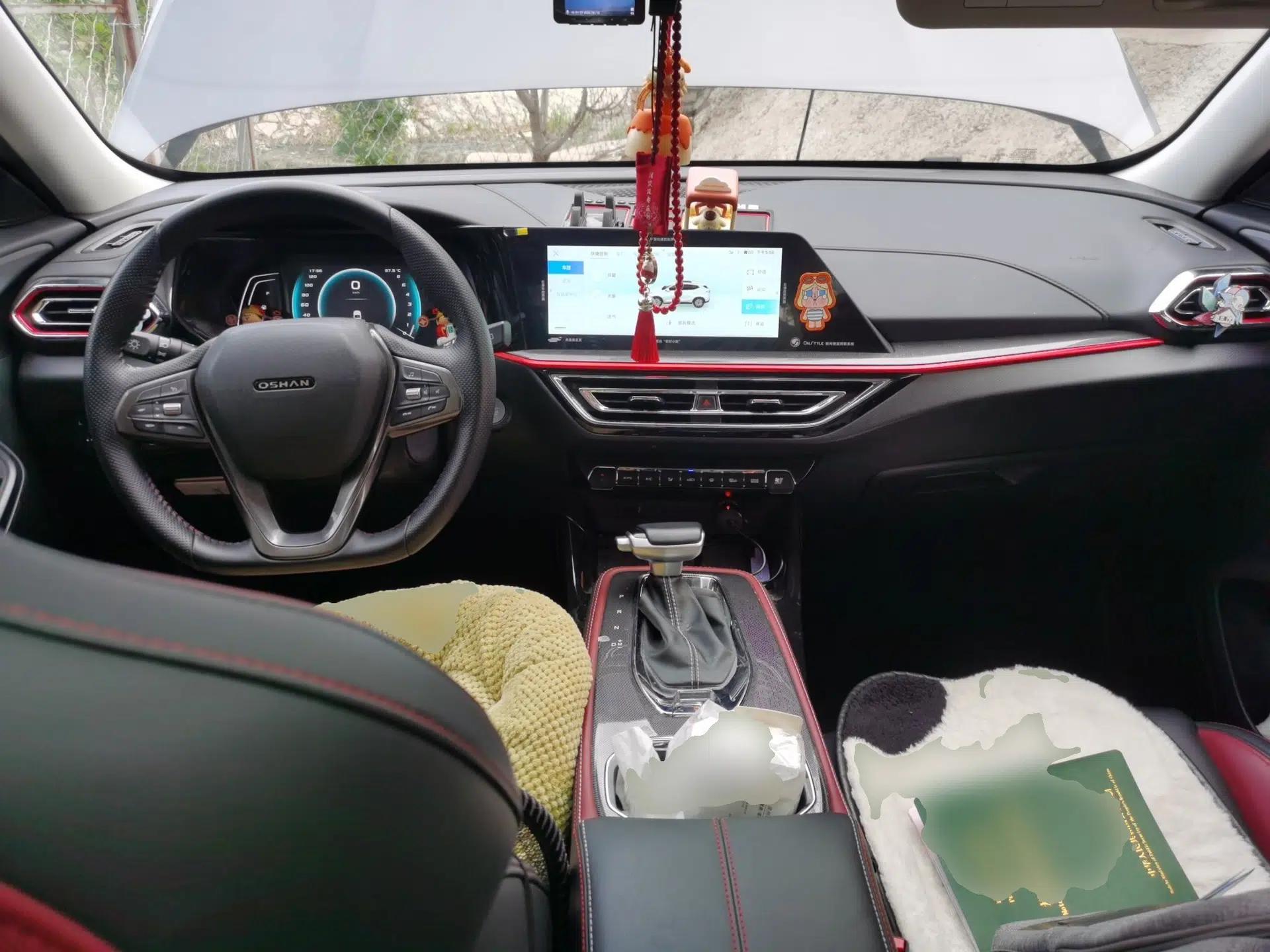 CHANGAN OSHAN X5 2021 1.5T DCT Luxury Edition — миниатюра 10