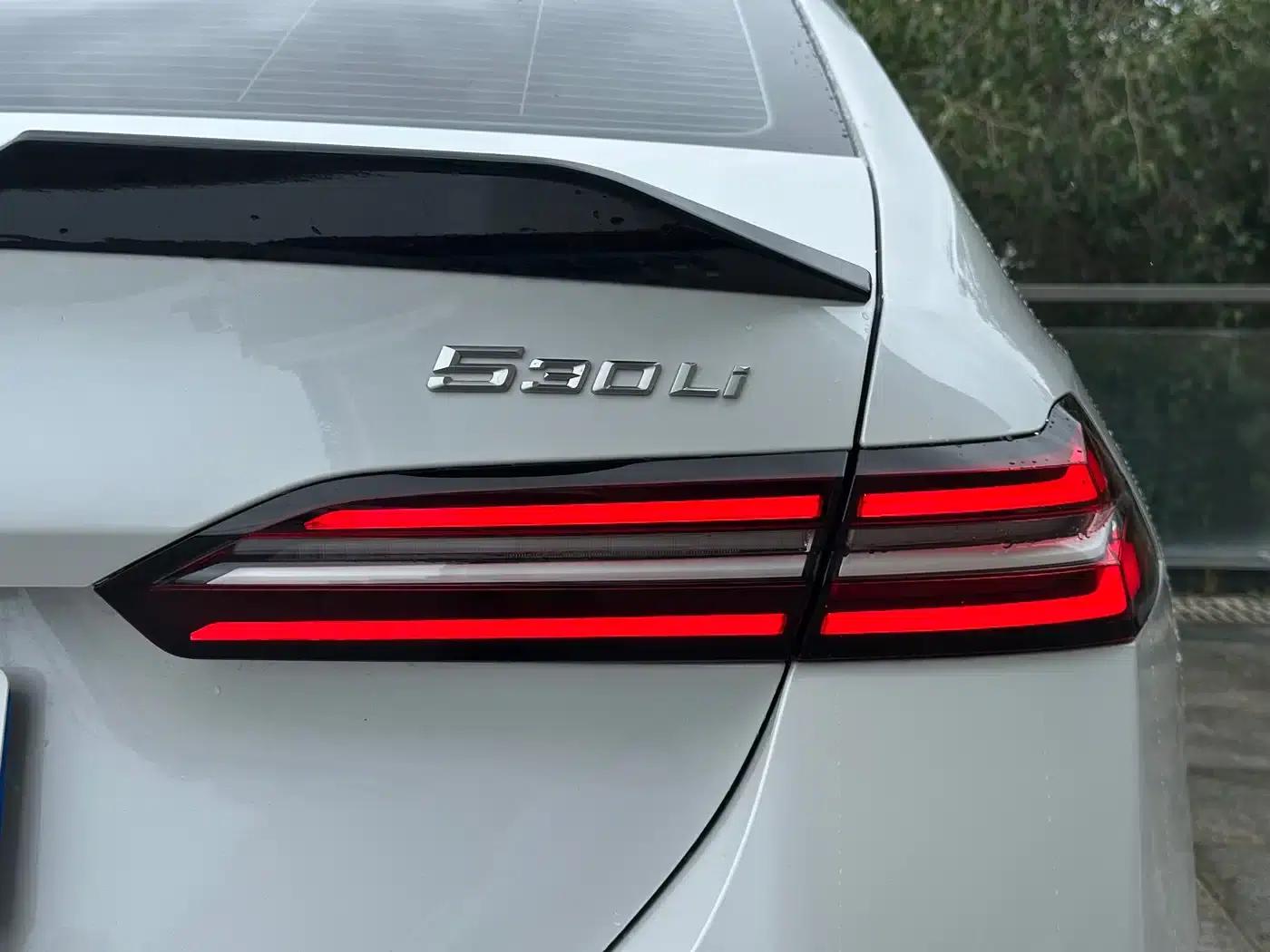 2025 BMW 5 Series 530Li Luxury M Sport Package — миниатюра 14