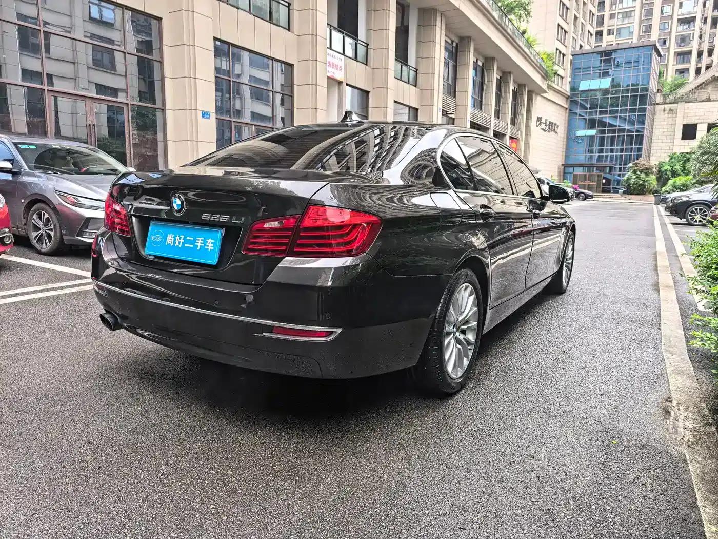 2014 BMW 5 Series 525Li Luxury Design Package — миниатюра 12