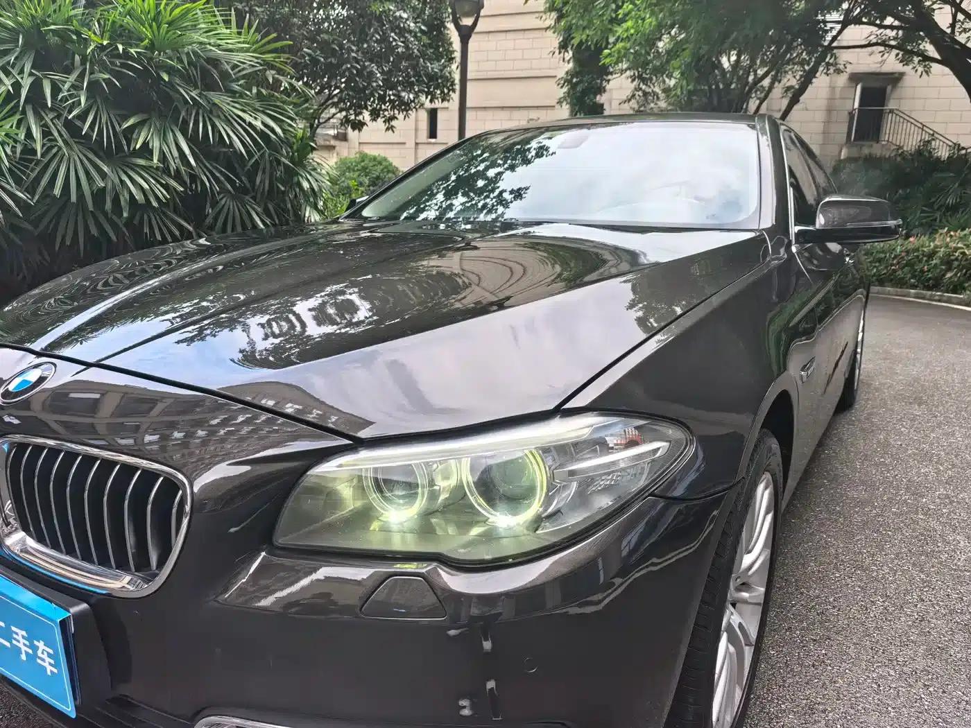 2014 BMW 5 Series 525Li Luxury Design Package — миниатюра 13