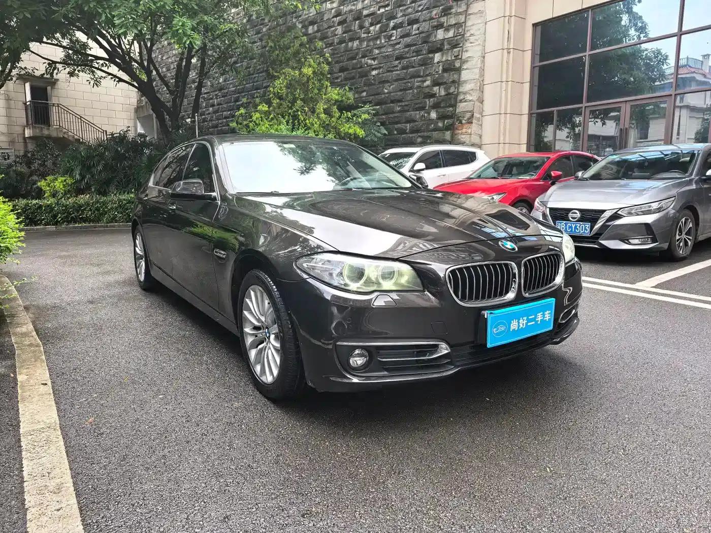 2014 BMW 5 Series 525Li Luxury Design Package — миниатюра 3