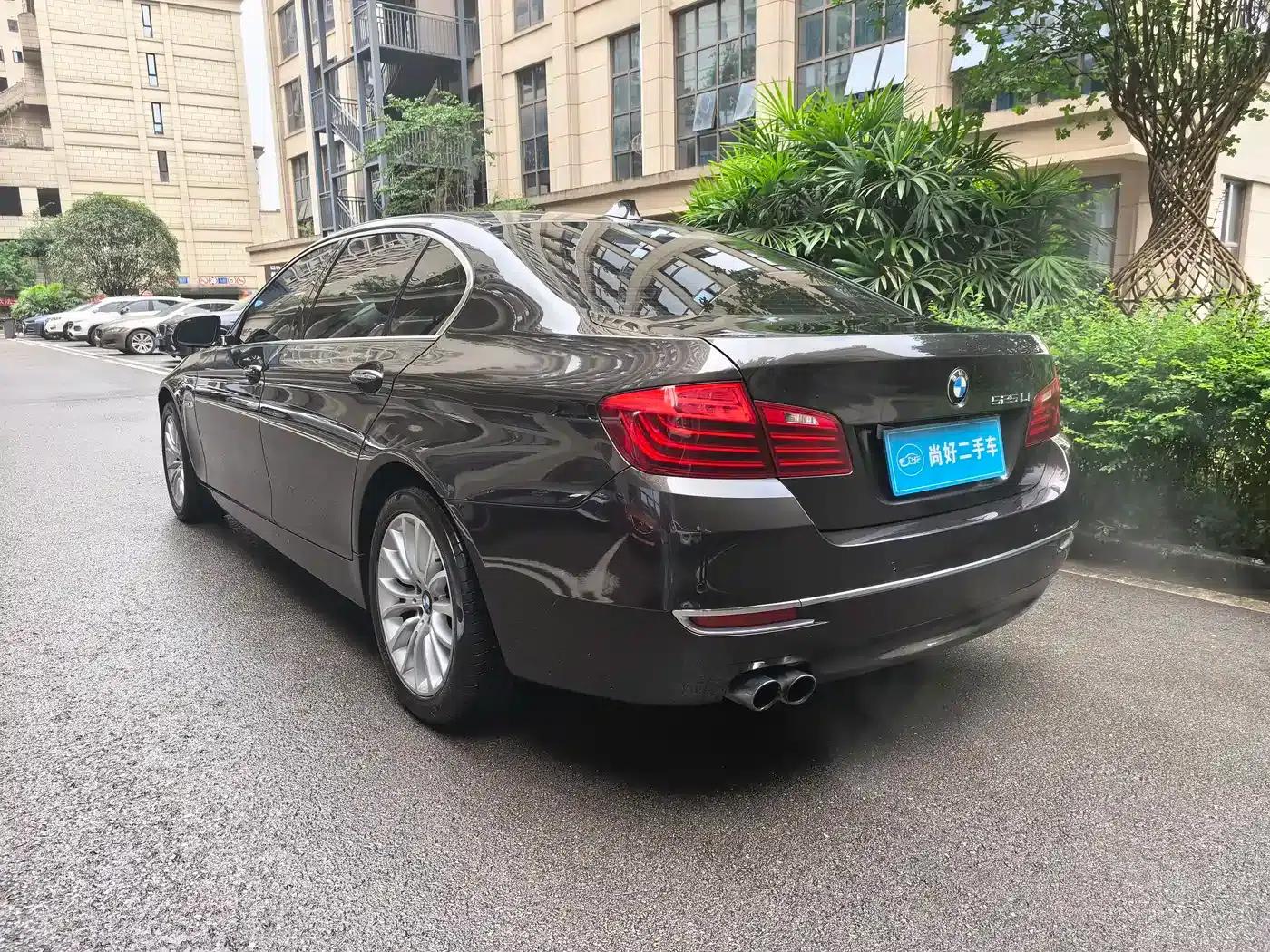 2014 BMW 5 Series 525Li Luxury Design Package — миниатюра 10