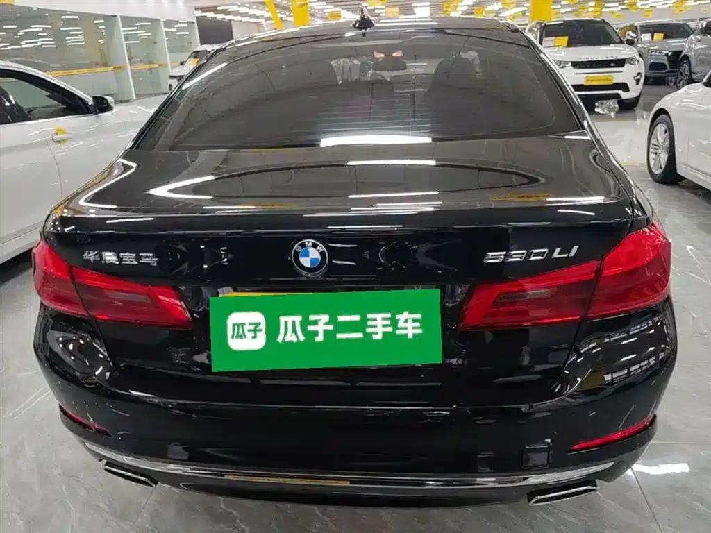 BMW 5 Series 2020 530Li Luxury Package — миниатюра 6