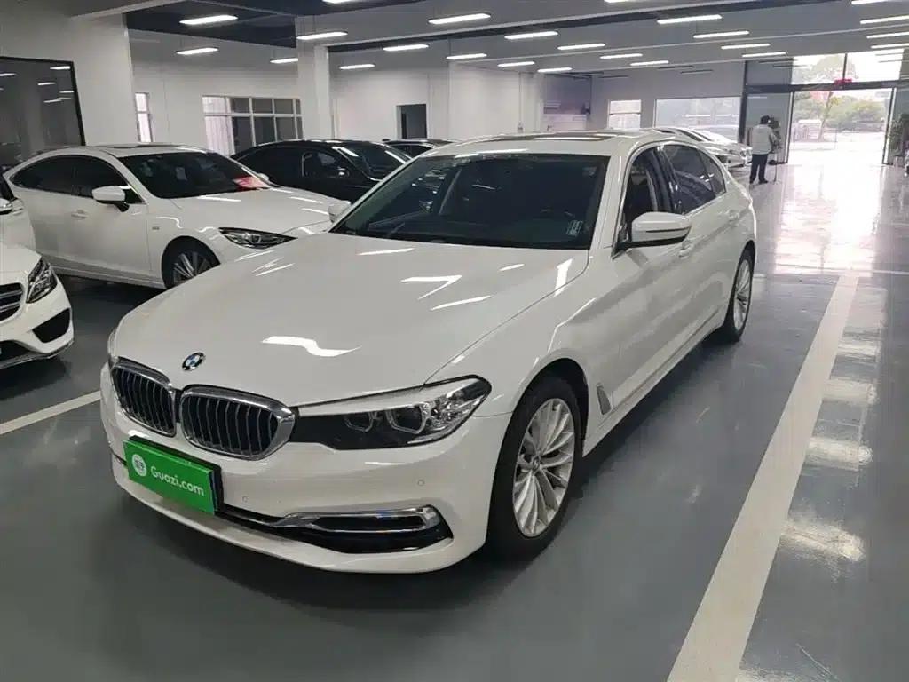 2019 BMW 5 Series 525Li Luxury Package — миниатюра 1