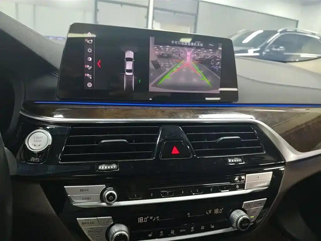 2019 BMW 5 Series 525Li Luxury Package — миниатюра 12