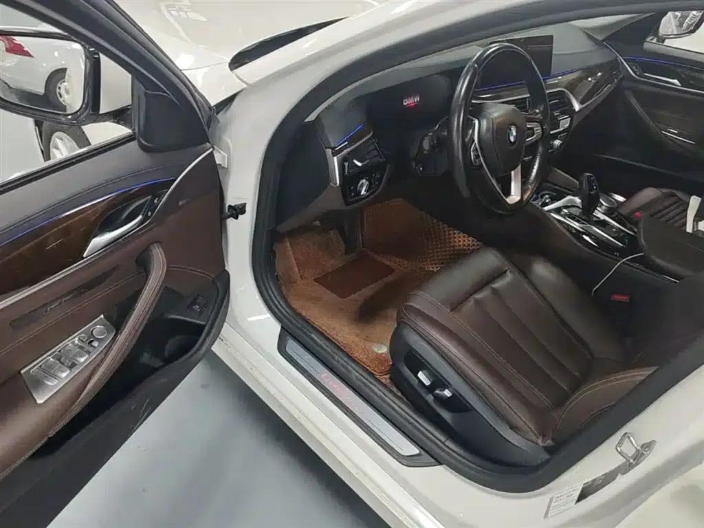 2019 BMW 5 Series 525Li Luxury Package — миниатюра 15