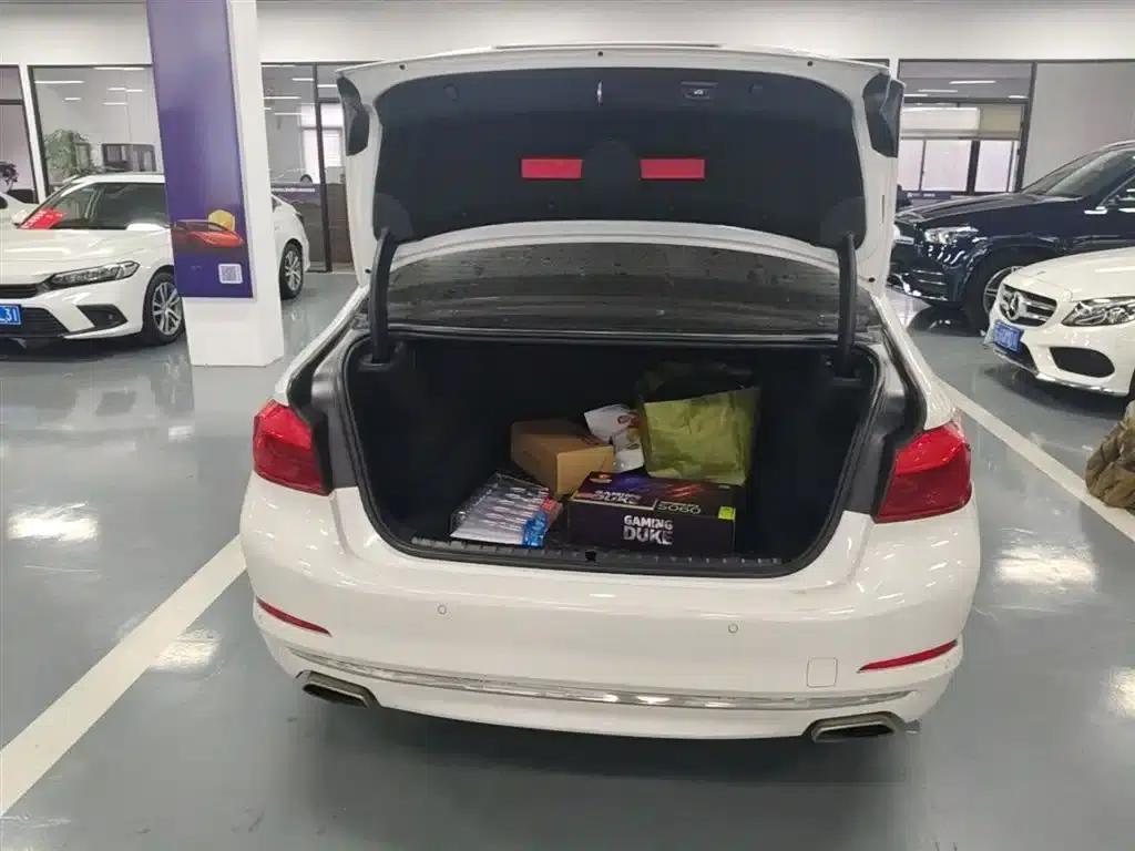 2019 BMW 5 Series 525Li Luxury Package — миниатюра 18