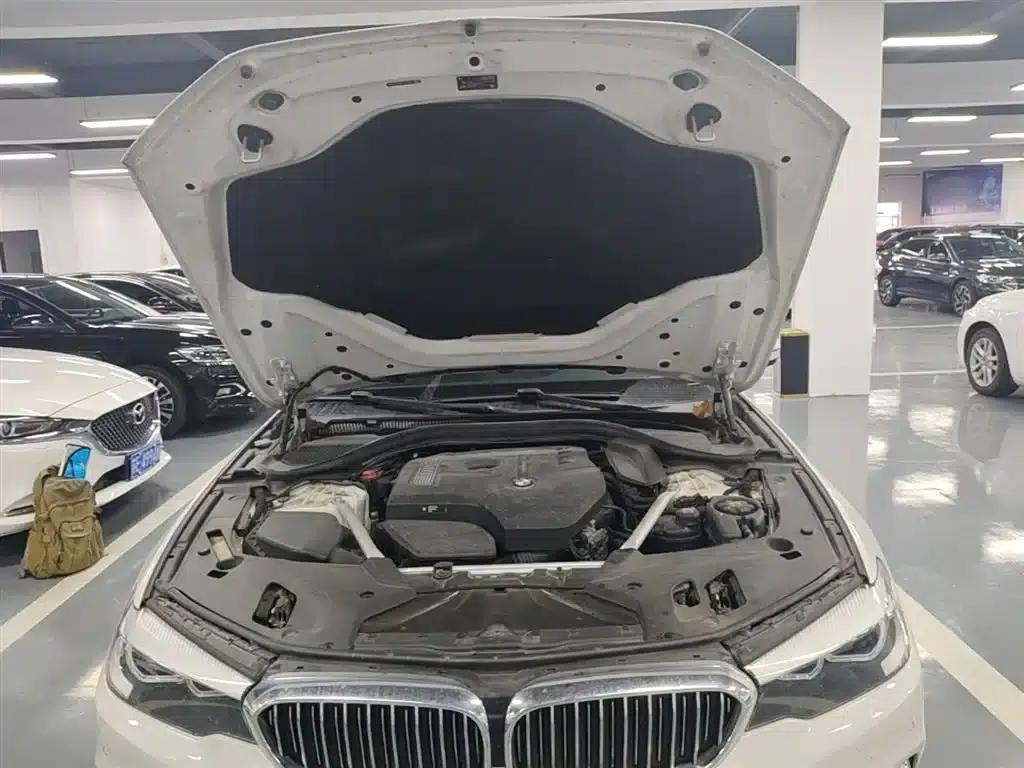 2019 BMW 5 Series 525Li Luxury Package — миниатюра 19