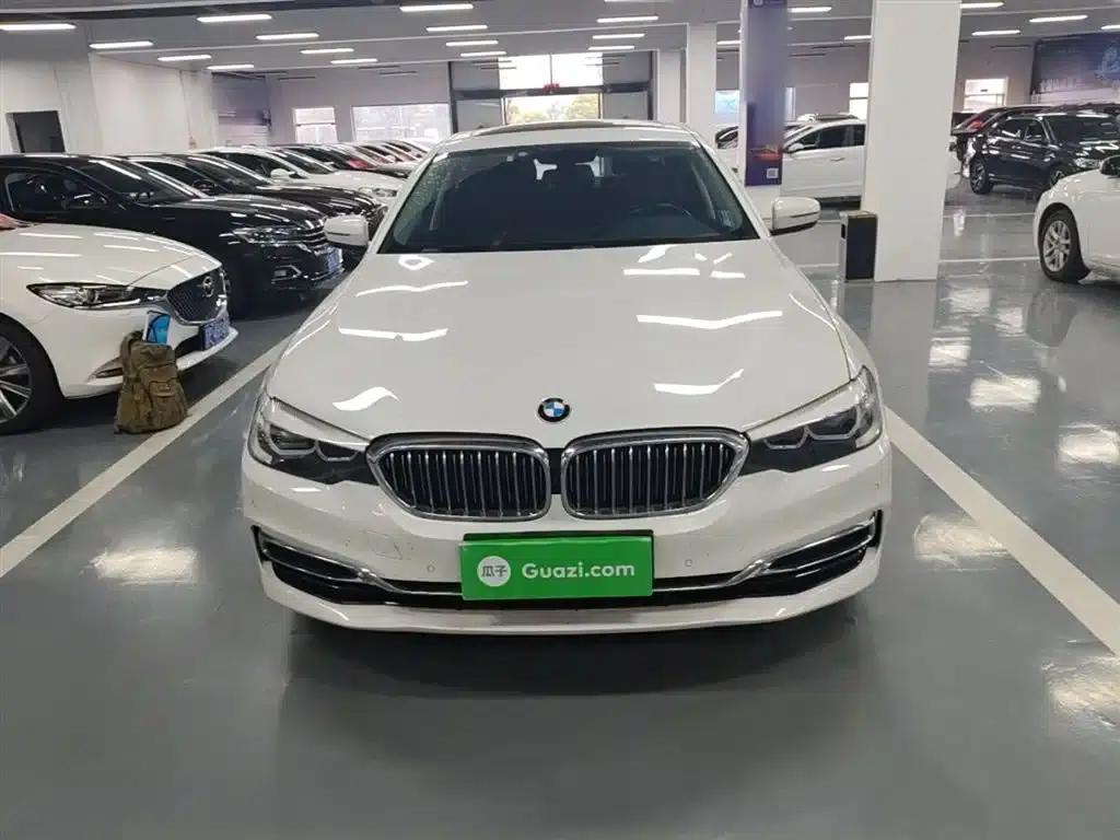 2019 BMW 5 Series 525Li Luxury Package — миниатюра 3