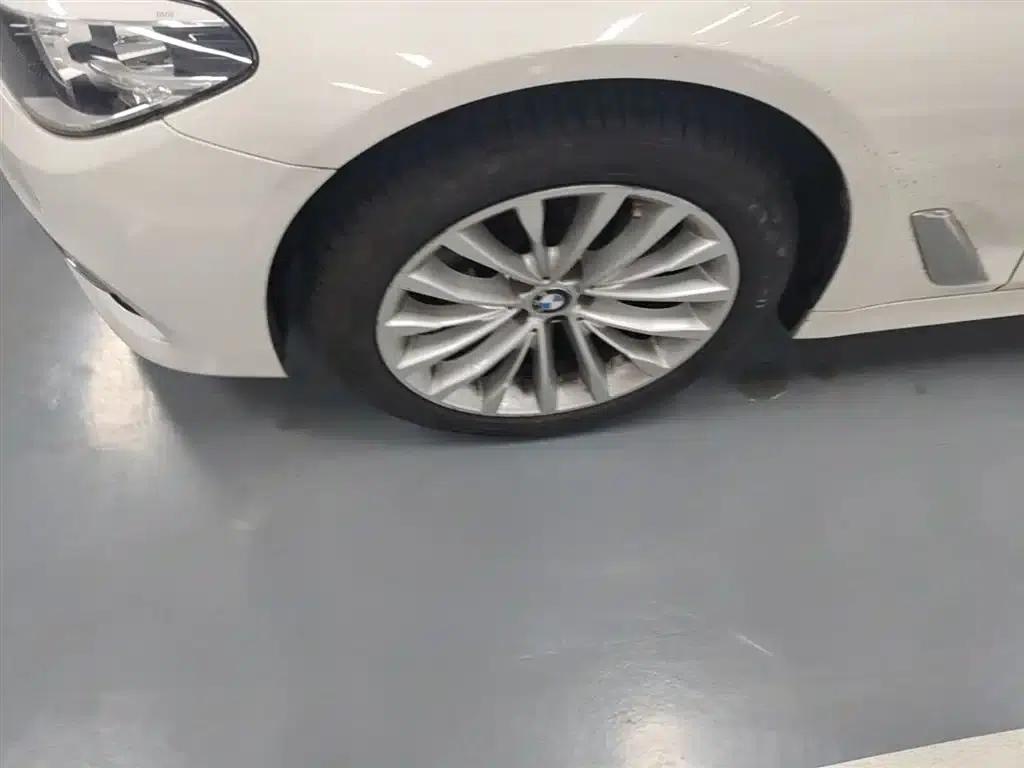 2019 BMW 5 Series 525Li Luxury Package — миниатюра 22