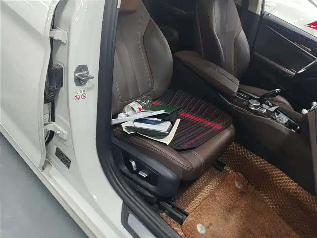 2019 BMW 5 Series 525Li Luxury Package — миниатюра 24