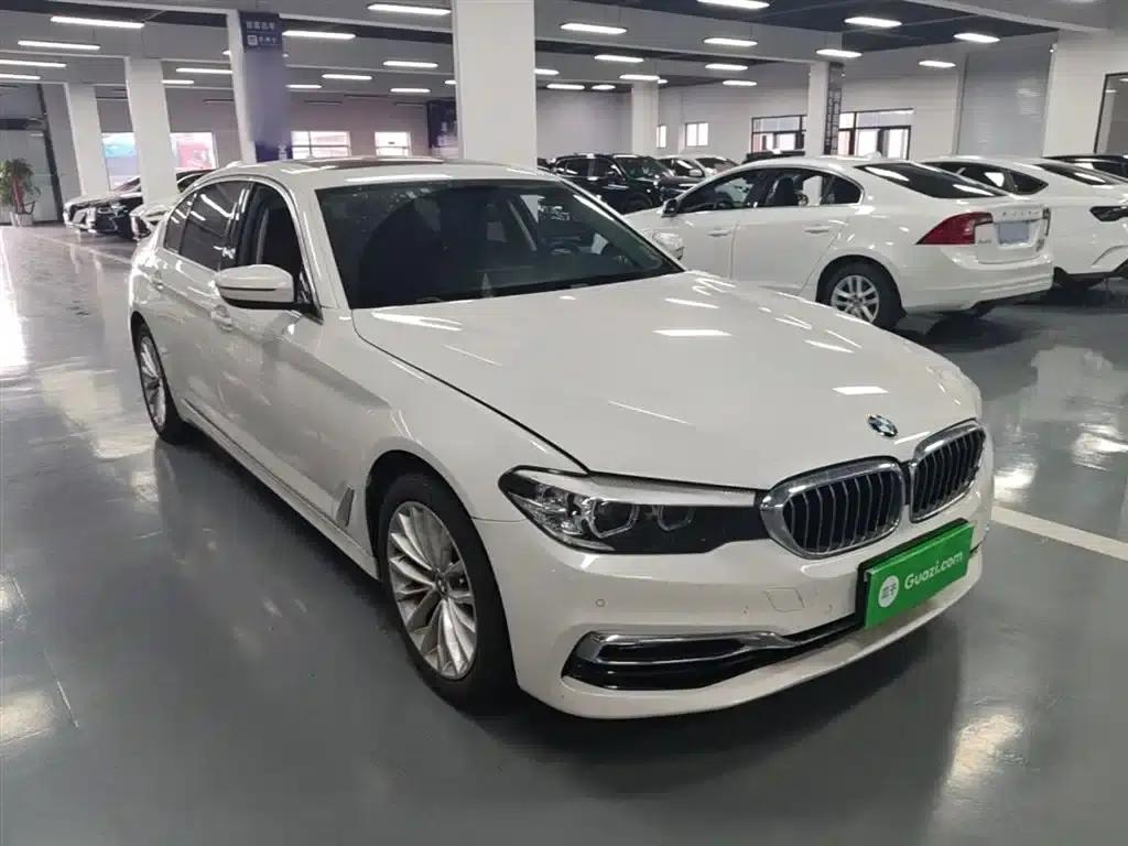 2019 BMW 5 Series 525Li Luxury Package — миниатюра 4