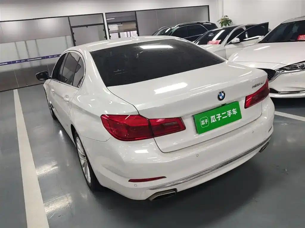 2019 BMW 5 Series 525Li Luxury Package — миниатюра 5