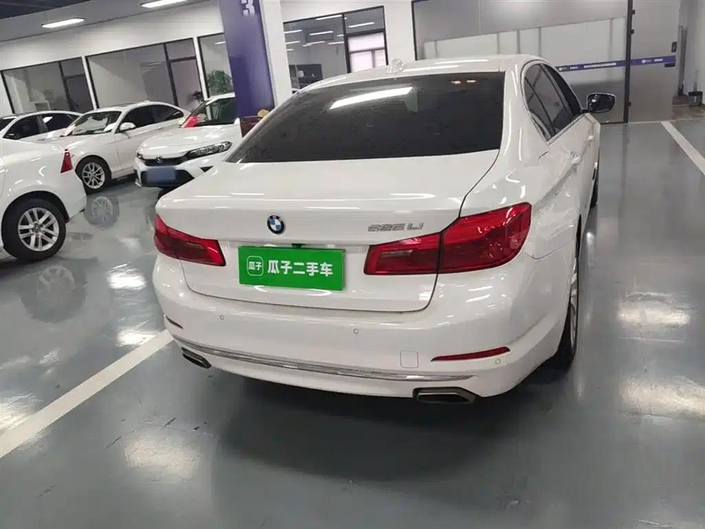 2019 BMW 5 Series 525Li Luxury Package — миниатюра 6