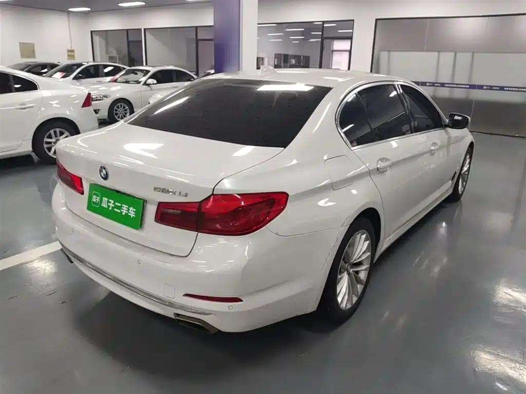 2019 BMW 5 Series 525Li Luxury Package — миниатюра 7