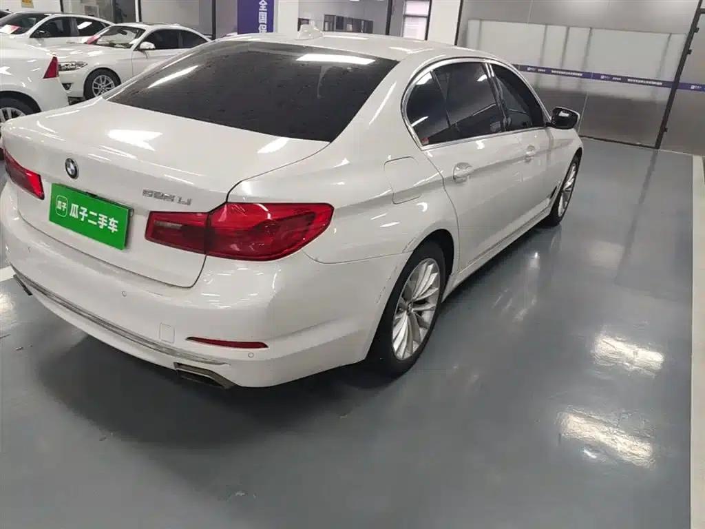 2019 BMW 5 Series 525Li Luxury Package — миниатюра 8