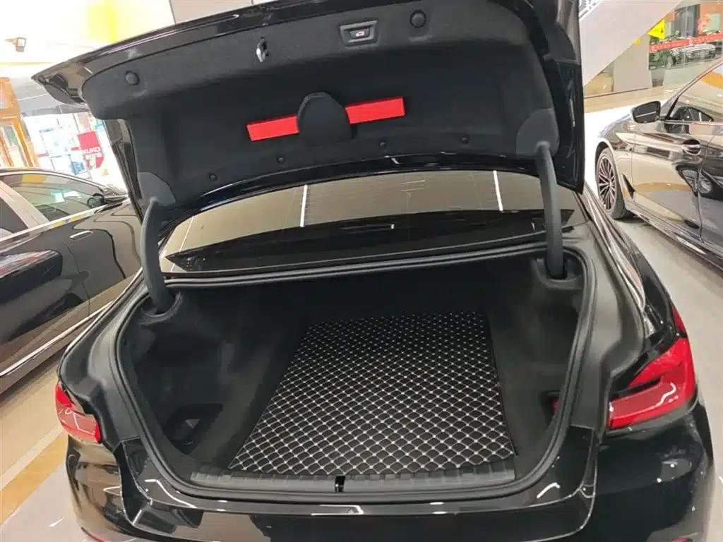 2021 BMW 5 Series 525Li Luxury Package — миниатюра 19