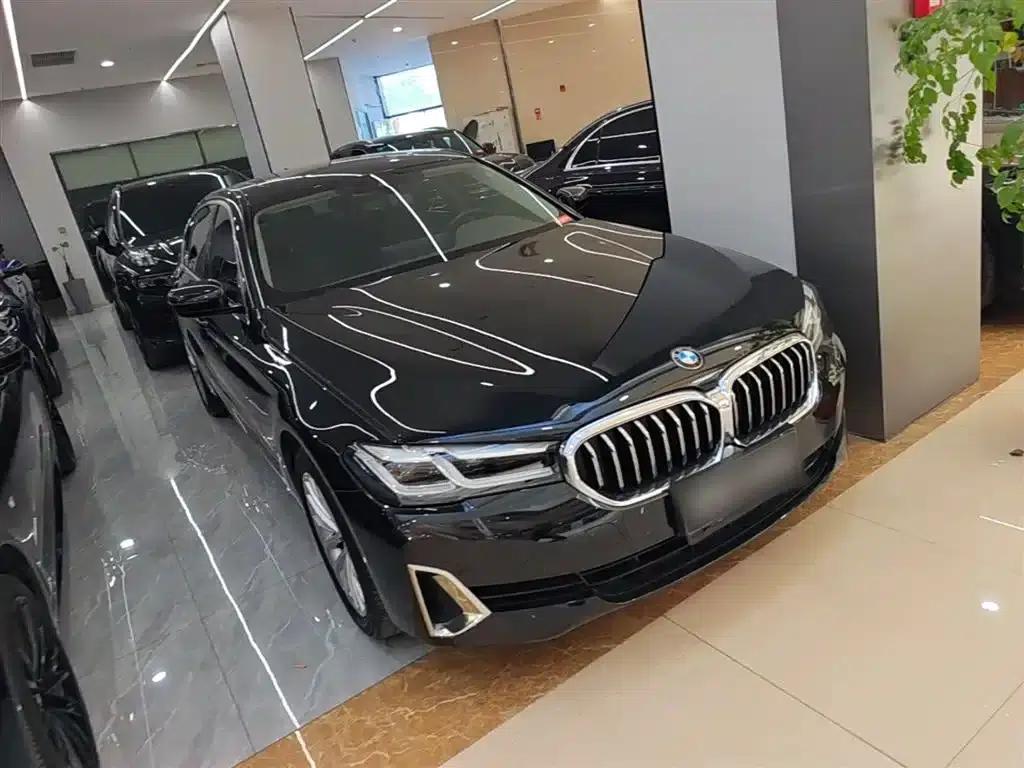 2021 BMW 5 Series 525Li Luxury Package — миниатюра 4