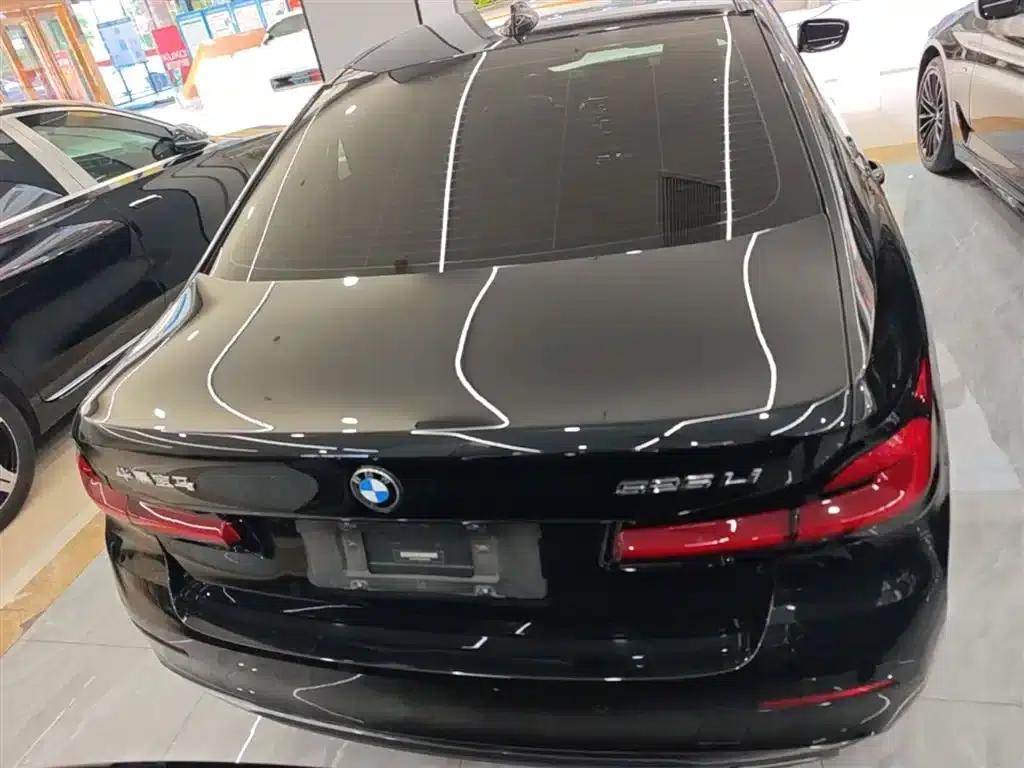 2021 BMW 5 Series 525Li Luxury Package — миниатюра 6