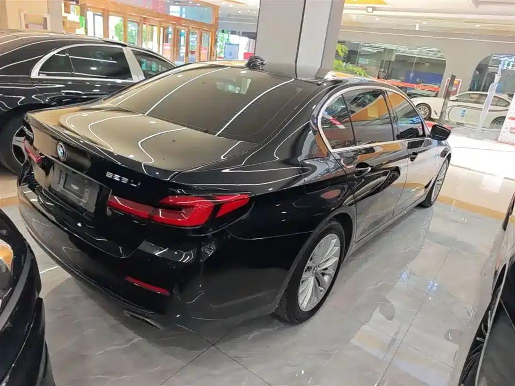 2021 BMW 5 Series 525Li Luxury Package — миниатюра 7