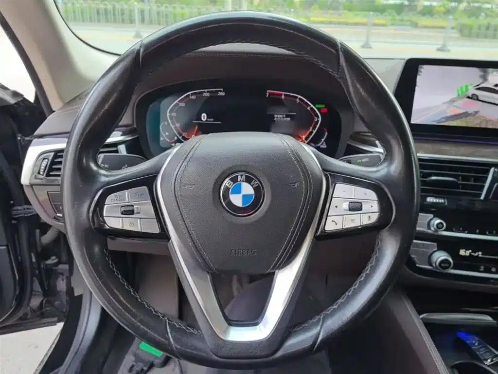 2020 BMW 5 Series 525Li Luxury Package — миниатюра 11