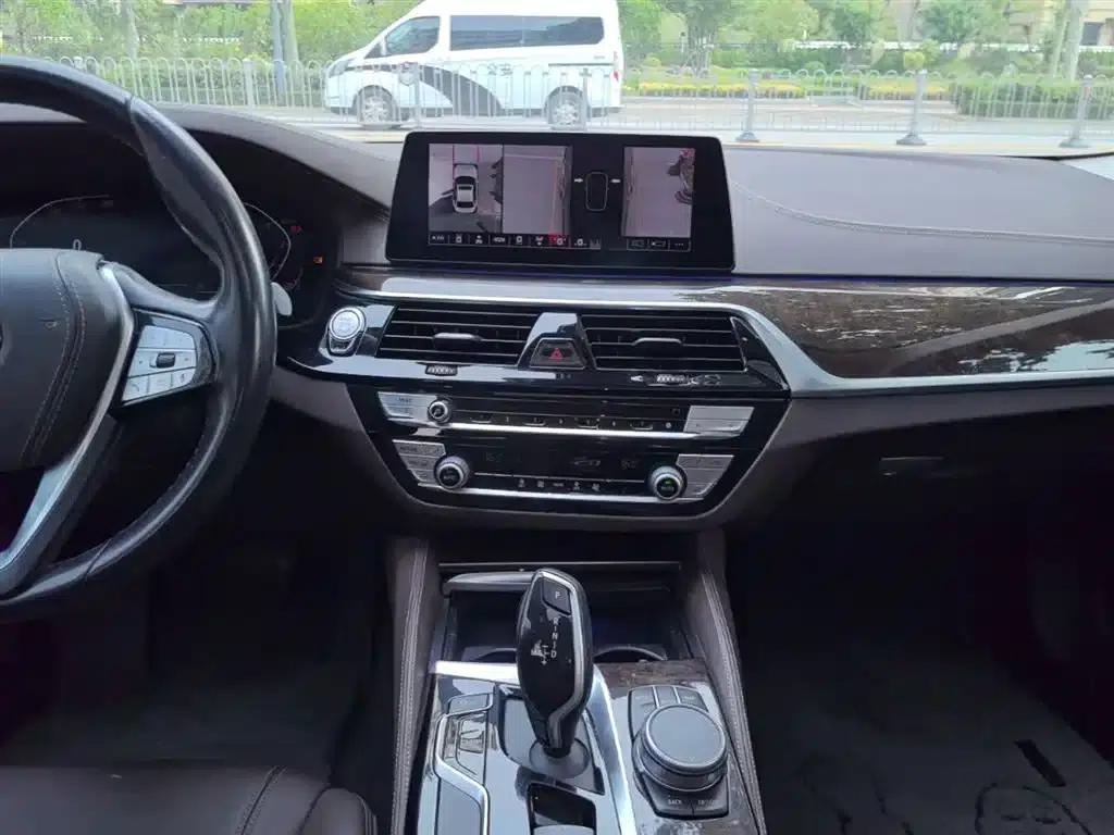 2020 BMW 5 Series 525Li Luxury Package — миниатюра 13
