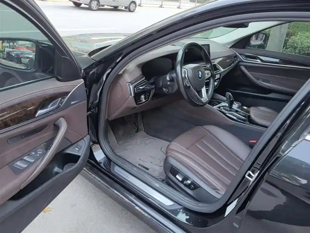 2020 BMW 5 Series 525Li Luxury Package — миниатюра 16