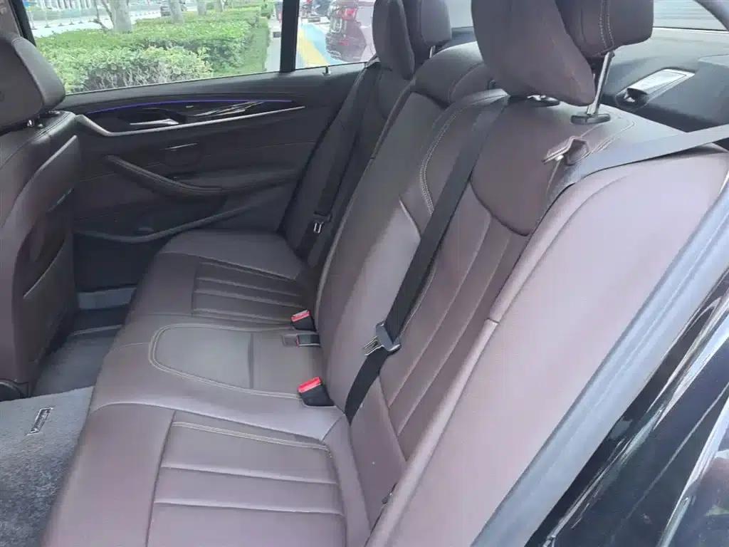 2020 BMW 5 Series 525Li Luxury Package — миниатюра 17
