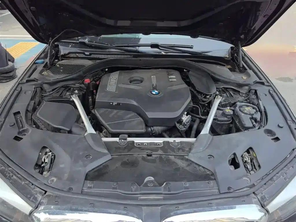 2020 BMW 5 Series 525Li Luxury Package — миниатюра 20