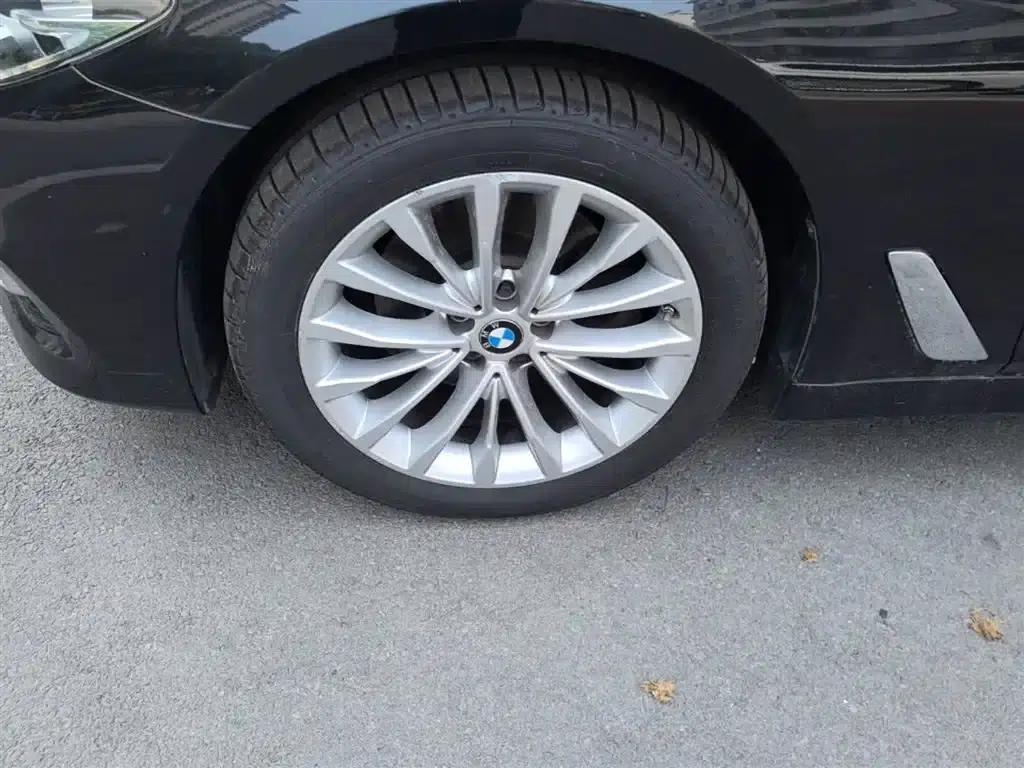 2020 BMW 5 Series 525Li Luxury Package — миниатюра 23