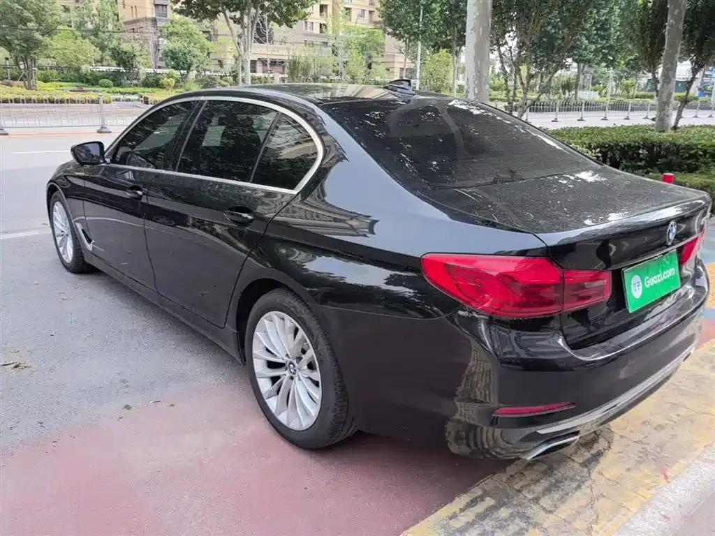 2020 BMW 5 Series 525Li Luxury Package — миниатюра 5