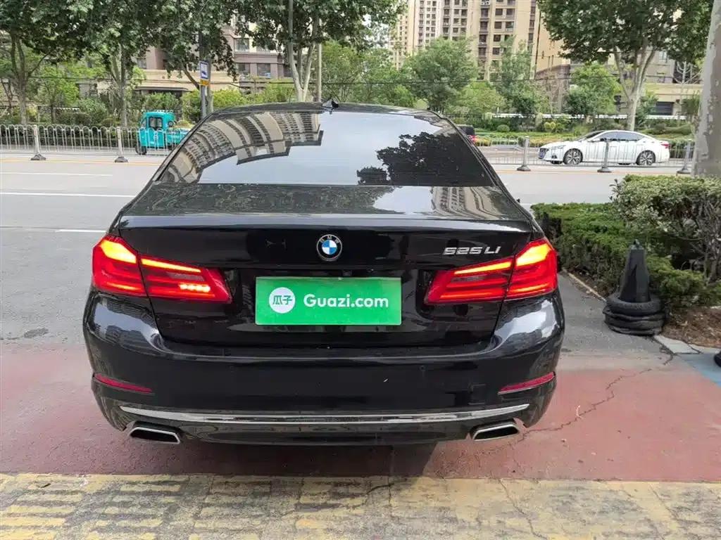 2020 BMW 5 Series 525Li Luxury Package — миниатюра 6