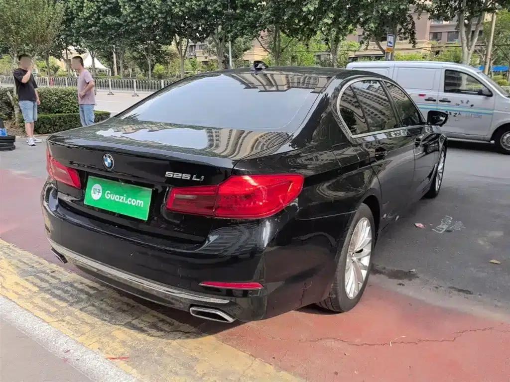2020 BMW 5 Series 525Li Luxury Package — миниатюра 7