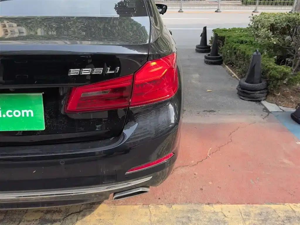 2020 BMW 5 Series 525Li Luxury Package — миниатюра 8